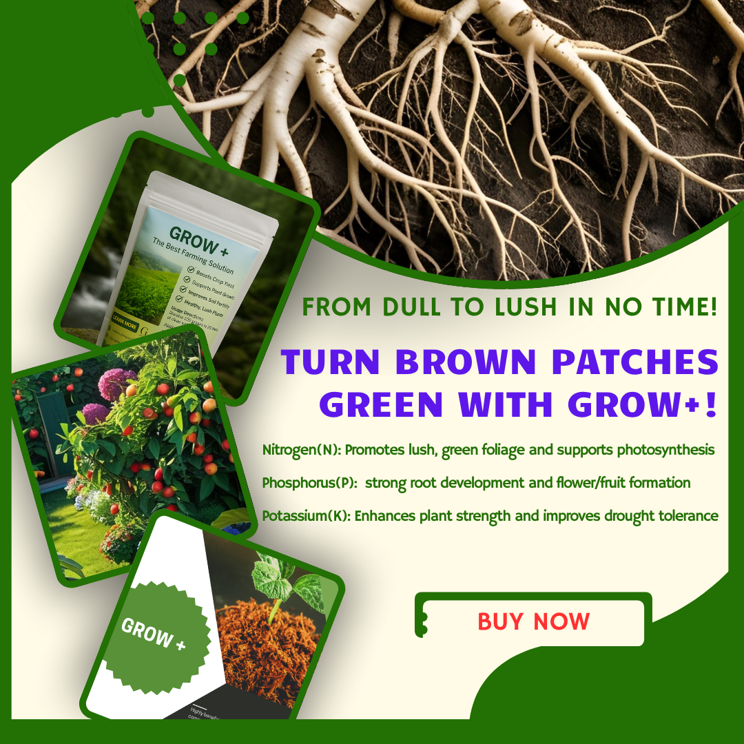 GROW + (NUTRIENT FOR PLANTS)
