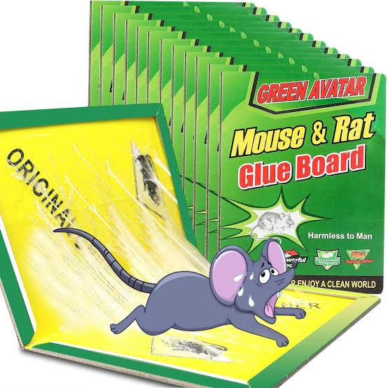 MOUSE GLUE TRAPS