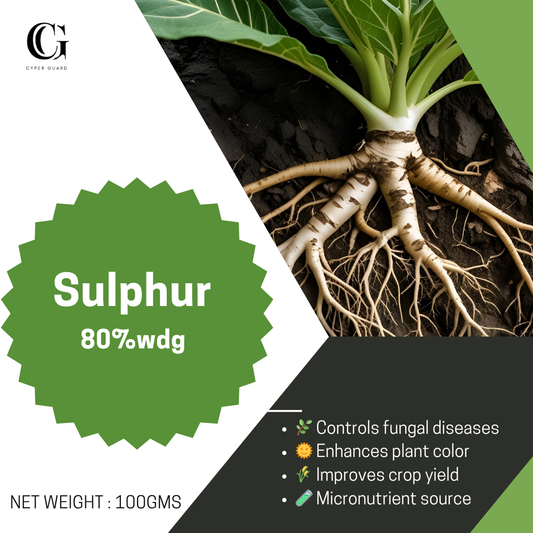 Sulphur 80% wdg